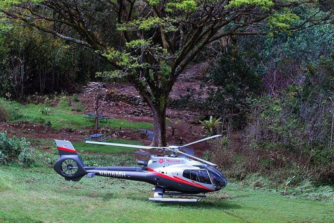Luxury Helicopter Experience with Hana Rainforest Landing - Touchdown at a former taro plantation in Wailua Valley