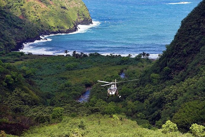 Luxury Helicopter Experience with Hana Rainforest Landing - Group size and seating: comfort, weight limits, and real trade-offs