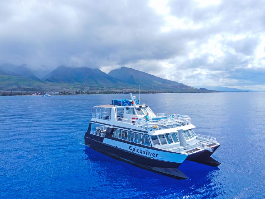 Ma'alaea Harbor: Whale Watching Tour Aboard Power Catamaran - Key highlights