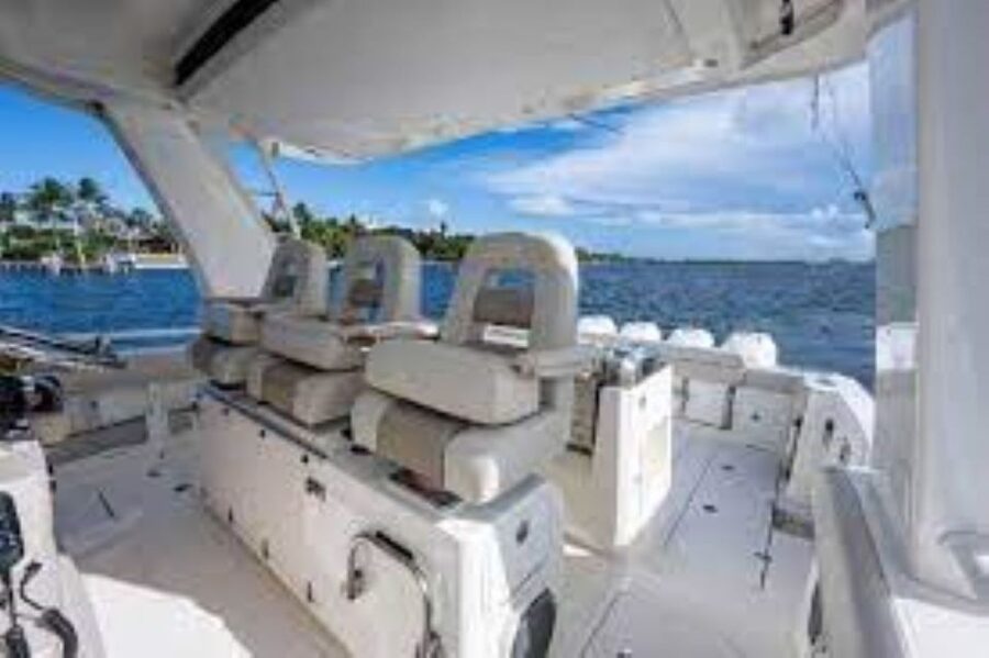 Maalaea: Small Group 2-Hour Whale Watch Experience - Should you book this Maalaea whale watch on Amore?