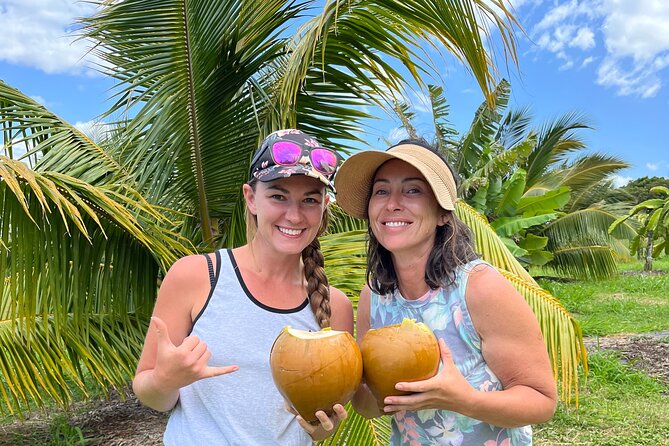 Macnut Tour, Picnic lunch and Maui Bees - 6 Key Highlights I’d Plan Around on This Macnut Tour