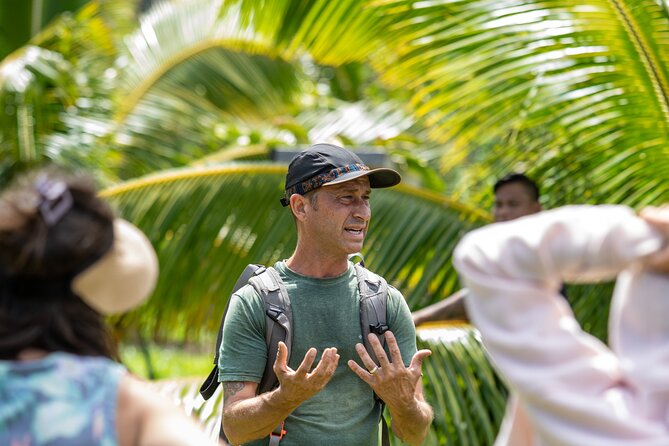 Macnut Tour, Picnic lunch and Maui Bees - The 2-Hour Walking Plan: Farm Grounds and a Hydroponic Greenhouse