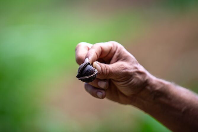 Macnut Tour, Picnic lunch and Maui Bees - Your Picnic Lunch: Farm-to-Table and Seriously Good Add-On Fuel