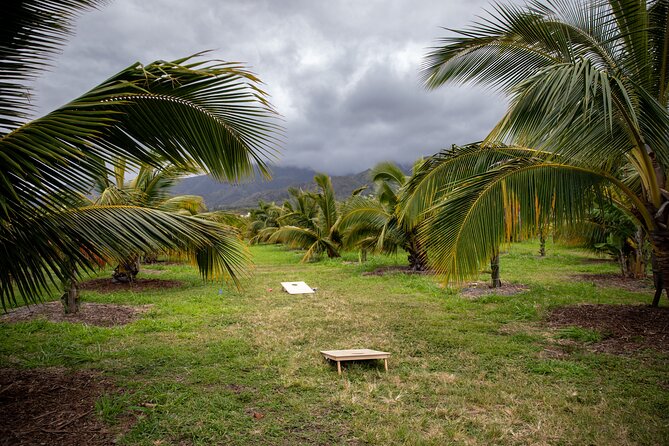 Macnut Tour, Picnic lunch and Maui Bees - What You’ll Learn About Regenerative Farming (With Real Examples)