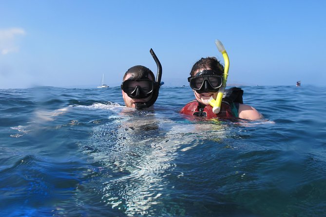 Makena Turtle Town Eco Adventure in Maui - Stop 2: snorkel sights built for real viewing time