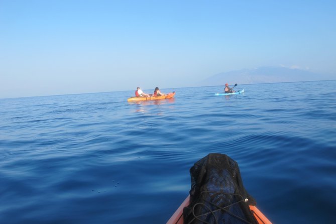 Makena Turtle Town Eco Adventure in Maui - What’s included, and why it matters on a half-day tour
