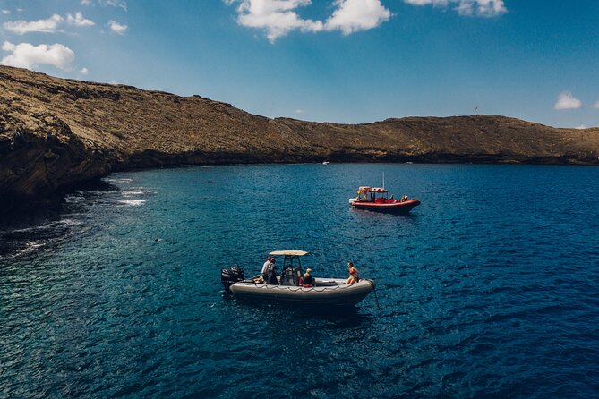 Maui: 2-Hour Molokini Snorkel Trip - Inside Molokini: What You Do for 1+ Hours Underwater