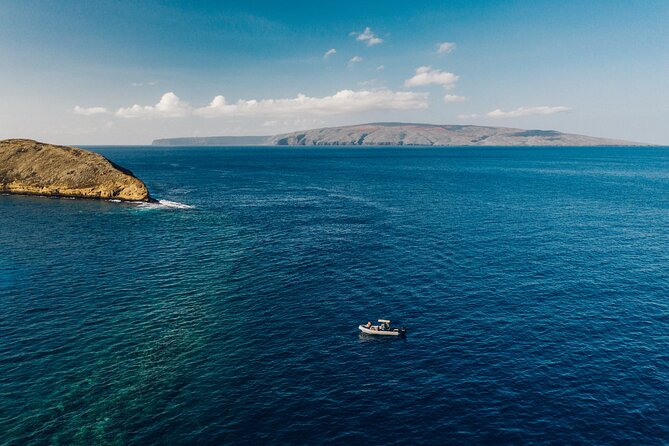 Maui: 2-Hour Molokini Snorkel Trip - Wildlife Chances on the Ride Out and Back