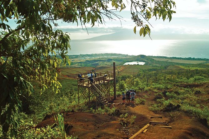 Maui 8 line Zipline Adventure: Soar above valleys & Island views - Key highlights I’d block time for