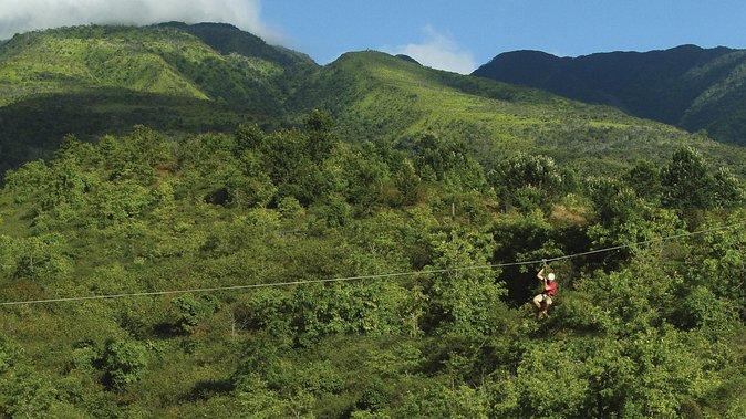 Maui 8 line Zipline Adventure: Soar above valleys & Island views - Who this tour suits best, and who should rethink it
