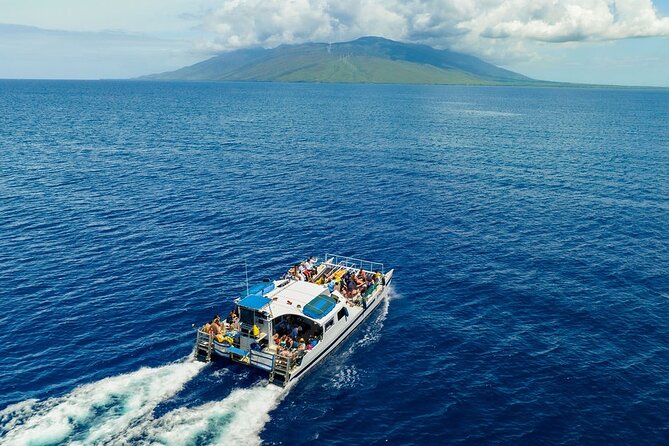 Maui Afternoon Snorkel Aboard Malolo to Molokini or Coral Gardens - What the Snorkeling Actually Feels Like (and How Long You Get)