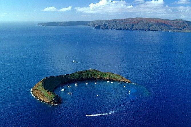Maui Afternoon Snorkel Aboard Malolo to Molokini or Coral Gardens - Molokini Crater or Coral Gardens: How the Captain Chooses the Better Water