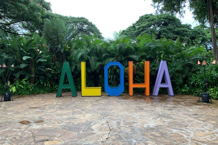 Maui Airport Custom Lei Greeting - Choose Your Lei - First Contact at Kahului Airport: Finding Your Greeter Quickly