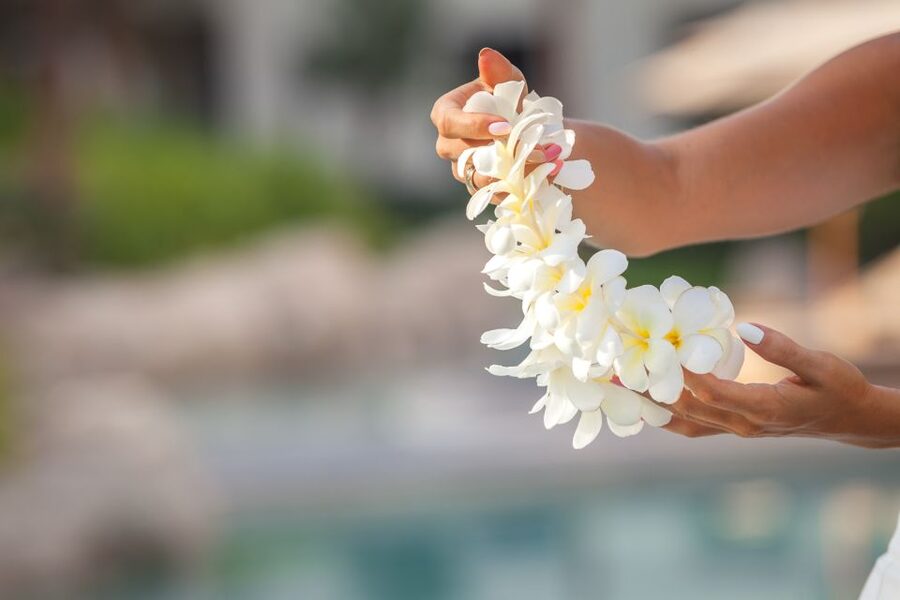 Maui Airport Custom Lei Greeting - Choose Your Lei - Price and Value at $51 Per Person