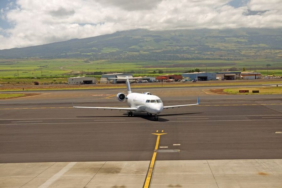 Maui Airport Custom Lei Greeting - Choose Your Lei - Should You Book This Maui Lei Greeting for Your OGG Arrival?