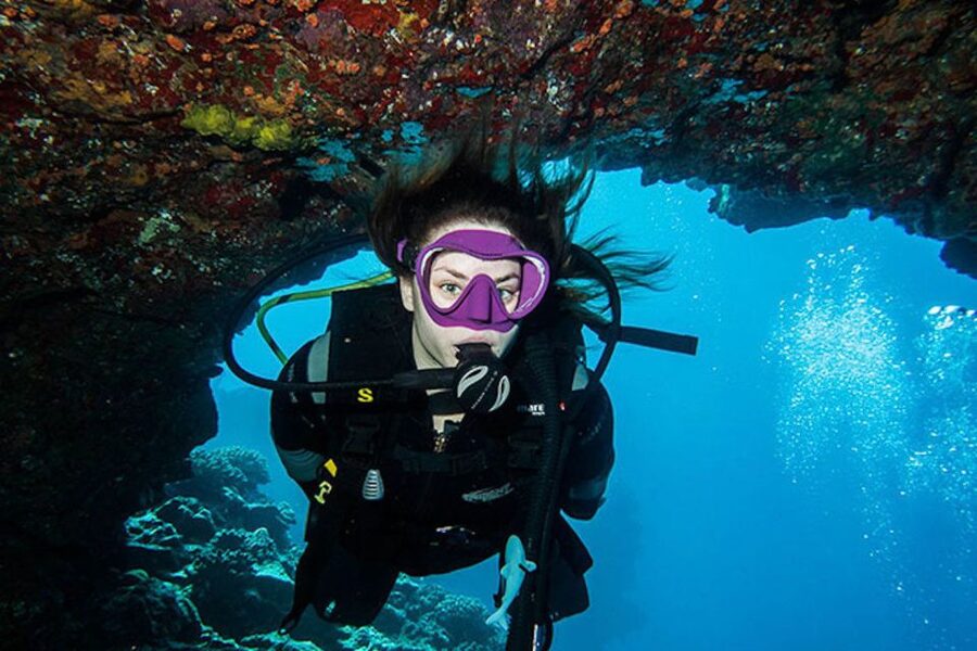 Maui: Beginner Discovery Scuba Dive Excursion from Lahaina - Price and value: is $238 worth it?