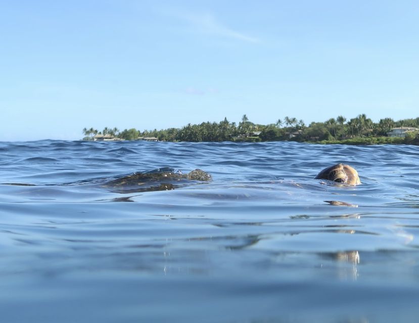 Maui: Beginner Level Private Stand-Up Paddleboard Lesson - The 2-hour flow: shore practice, then real ocean time