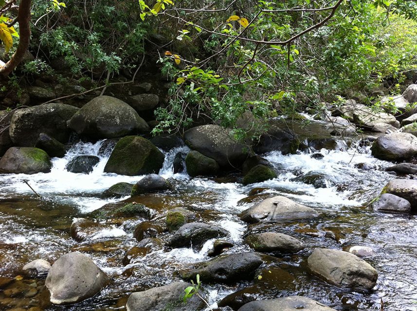 Maui: Best of Maui/Haleakala - Sips, Sites & Bites - Haliʻimaile Distillery tour and samples: what it feels like for non-drinkers