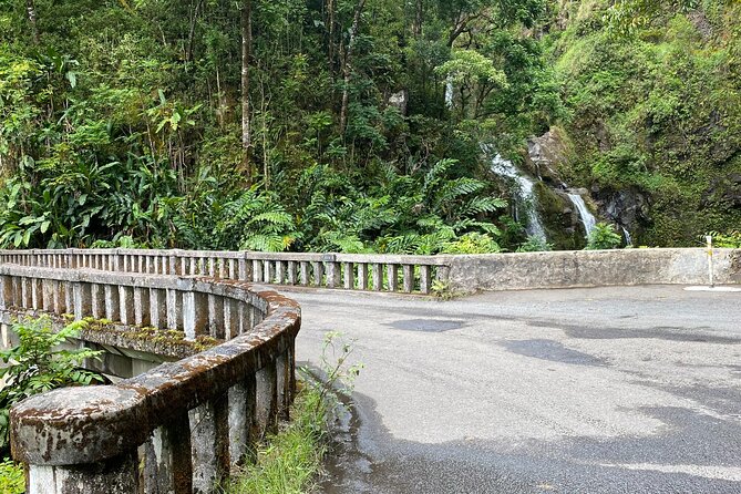 Maui by Storm: Epic Private Luxury Road to Hana Adventure Tour - The optional stops that change your Road to Hana personality