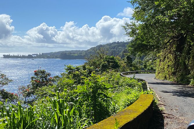 Maui by Storm: Epic Private Luxury Road to Hana Adventure Tour - Laulima Farm and the coffee stop that feels like a local mission
