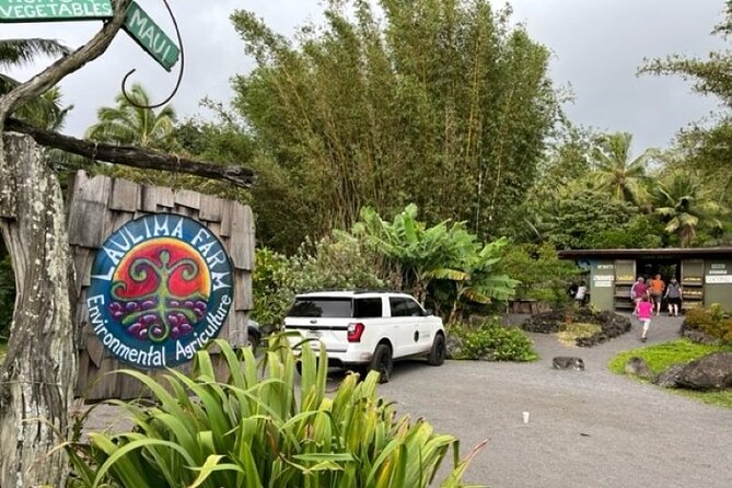 Maui by Storm: Epic Private Luxury Road to Hana Adventure Tour - Koki Beach and huli huli chicken: where the food part becomes memorable