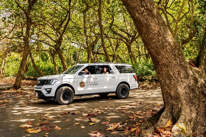 Maui by Storm: Epic Private Luxury Road to Hana Adventure Tour - Waianapanapa State Park: black sand beach time that is actually built in
