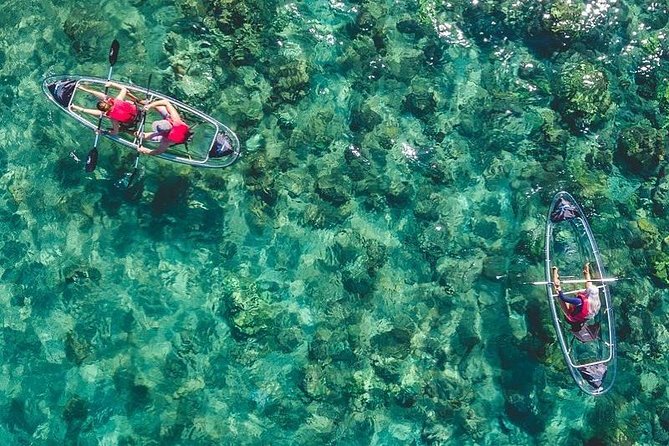 Maui Clear Kayak and Snorkel Tour: Swim with turtles (Makena) - Key Points That Make This Tour Worth It
