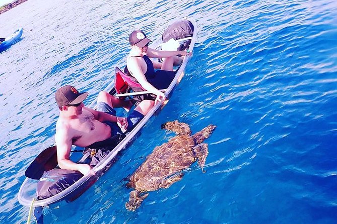 Maui Clear Kayak and Snorkel Tour: Swim with turtles (Makena) - Staying Dry-ish vs Snorkeling: Your Real Choice