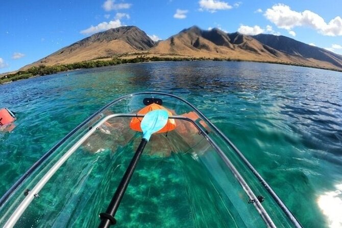 Maui Clear Kayak and Snorkel Tour: Swim with turtles (Olowalu) - What’s included in your $130 morning (and what’s not)