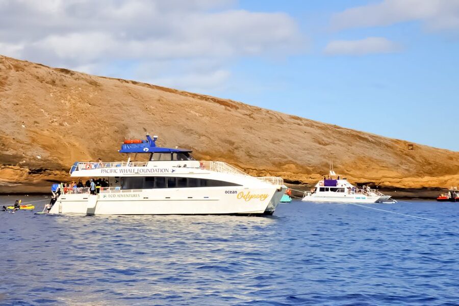 Maui: Eco-Friendly Molokini & Turtle Town Tour with Meals - Breakfast Before the Reefs: Fueling Your Snorkel Session