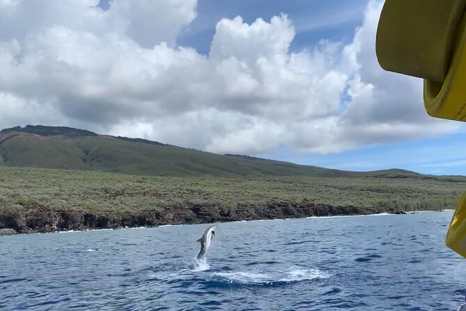 Maui Eco-Raft: 2 Hour Dolphin Watch Sightsee Tour (Semi-Private) - No Snorkeling, But You Still Get Snacks and an Optional Lunch
