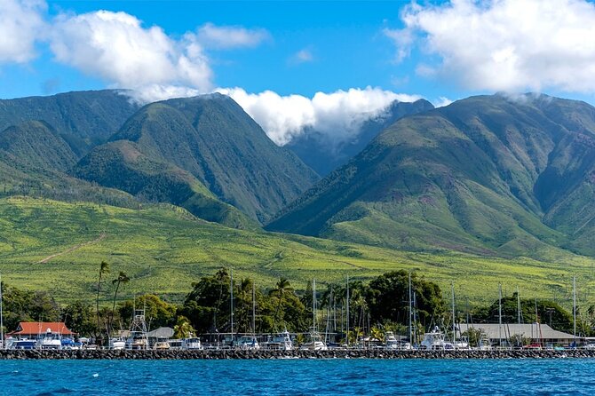 Maui Eco-Raft: 2 Hour Dolphin Watch Sightsee Tour (Semi-Private) - Price and Value for $96.52 Per Person