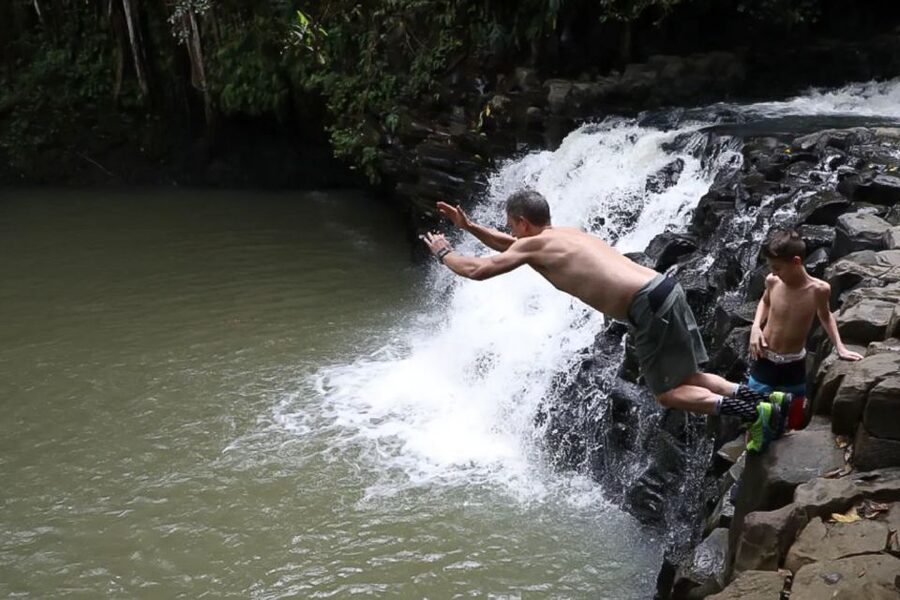Maui: Guided Rainforest and Waterfall Walk & Swim - Learning Maui Rainforests: Plants, Edible Finds, and Island History