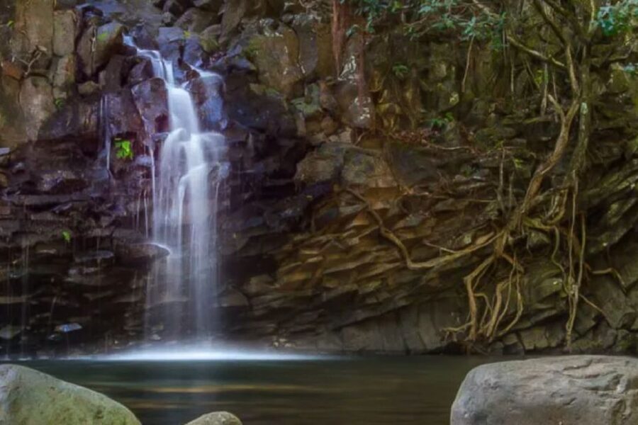 Maui: Guided Rainforest and Waterfall Walk & Swim - Is $140 for 3 Hours Good Value on Maui?