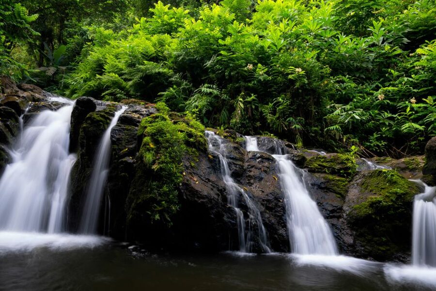Maui: Guided Rainforest and Waterfall Walk & Swim - Should You Book This Maui Guided Rainforest and Waterfall Walk and Swim?