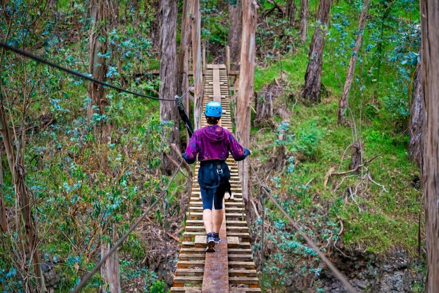 Maui: Haleakala 6-Line Zipline Adventure - Price and Value: What $146 Buys You on Maui