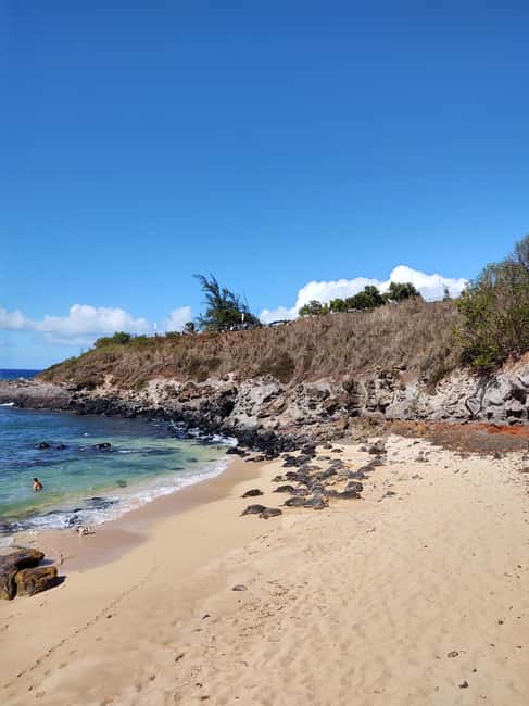 Maui: Halfway to Hana Black Sand Beach & Turtles Tour - Key highlights to know before you go