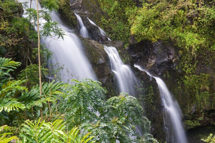 Maui: Heavenly Hana Full-Day Excursion from Kahului - Ho’okipa Lookout for North Shore waves up to 25 feet