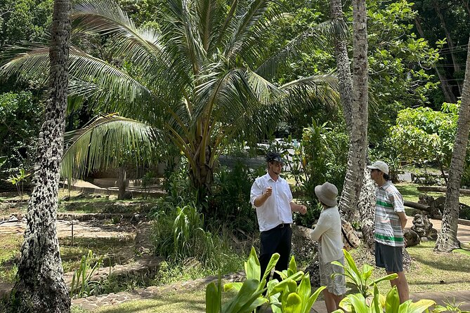 Maui Historical Island Tour - Value and vibe: what $200 buys you