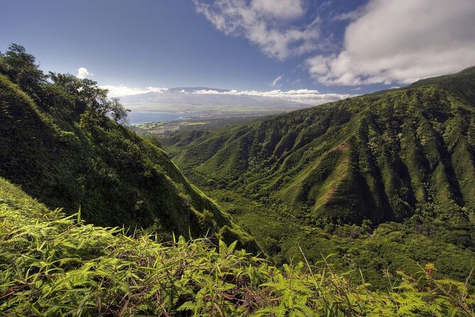 Maui Horseback Adventure at Circle M Ranch With Real Cowboys - Key takeaways before you saddle up