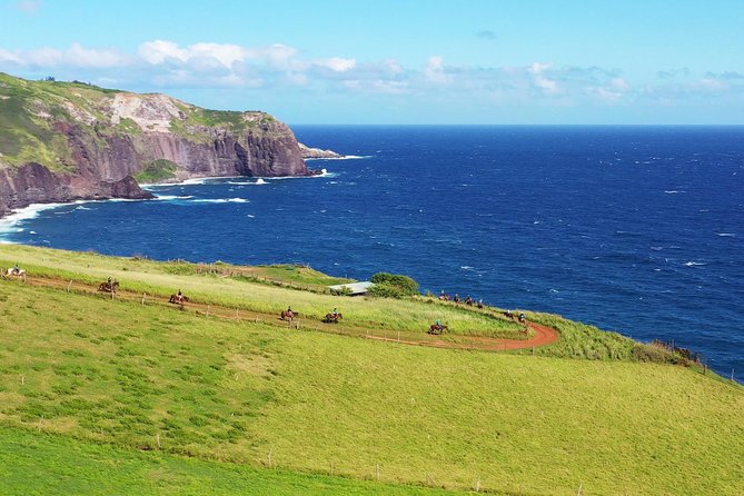Maui Horseback Adventure at Circle M Ranch With Real Cowboys - The ride schedule: 45 minutes of training, then 1.5 hours on trail