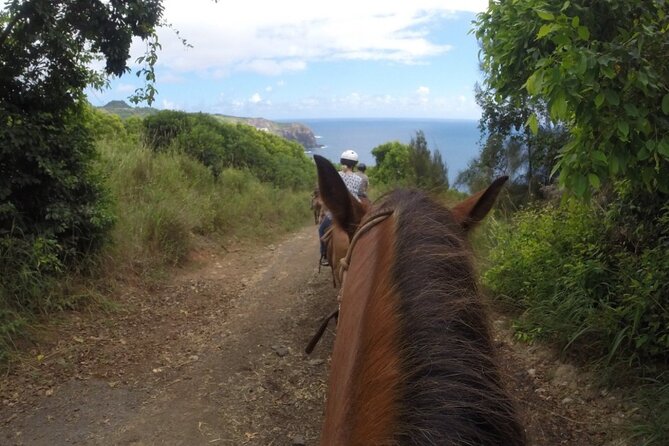 Maui Horseback Adventure at Circle M Ranch With Real Cowboys - Ocean-coast trail views and a real chance at whale sightings