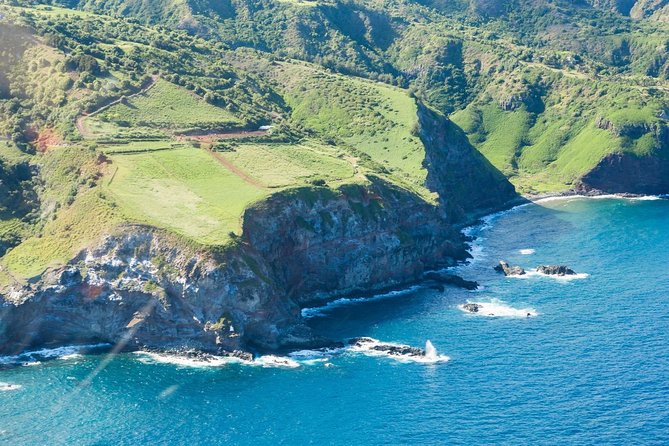 Maui Horseback Adventure at Circle M Ranch With Real Cowboys - Through the West Maui rain forest: what changes when the trail gets lush