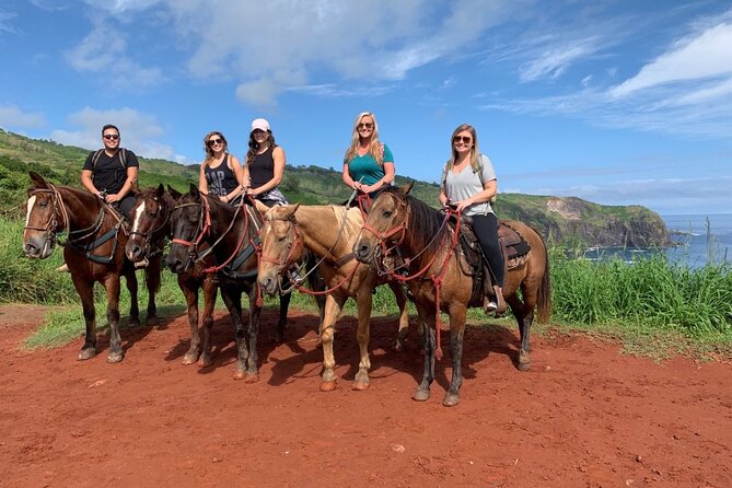 Maui Horseback Adventure at Circle M Ranch With Real Cowboys - The climb back up: taro patches, plantation homes, and Maui working-land details