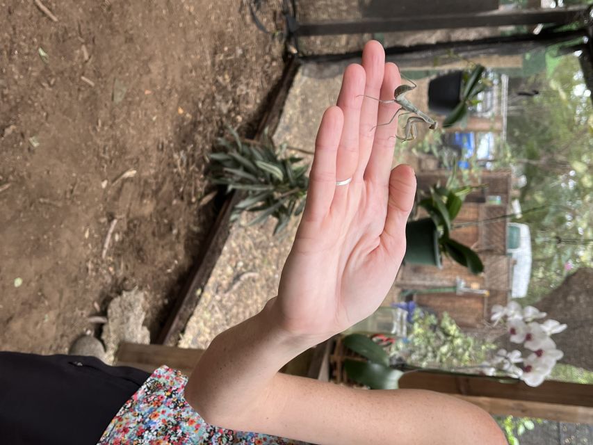Maui: Interactive Butterfly Farm Entrance Ticket - Is $49 a fair price? Value on Maui is all about focus