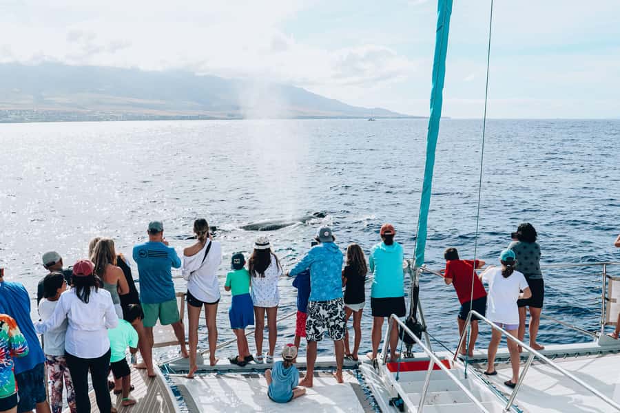 Maui: Ka'anapali Discount Whale Watch - Beach Loading Vessel - Ka’anapali Beach loading makes the day feel easy