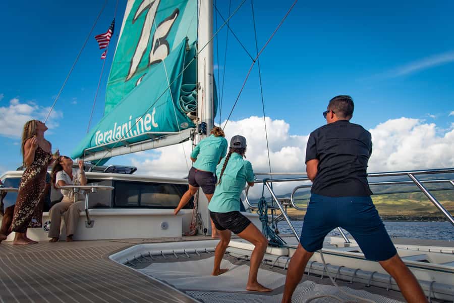 Maui: Ka'anapali Discount Whale Watch - Beach Loading Vessel - Marine naturalist talk: why the guidance improves your odds