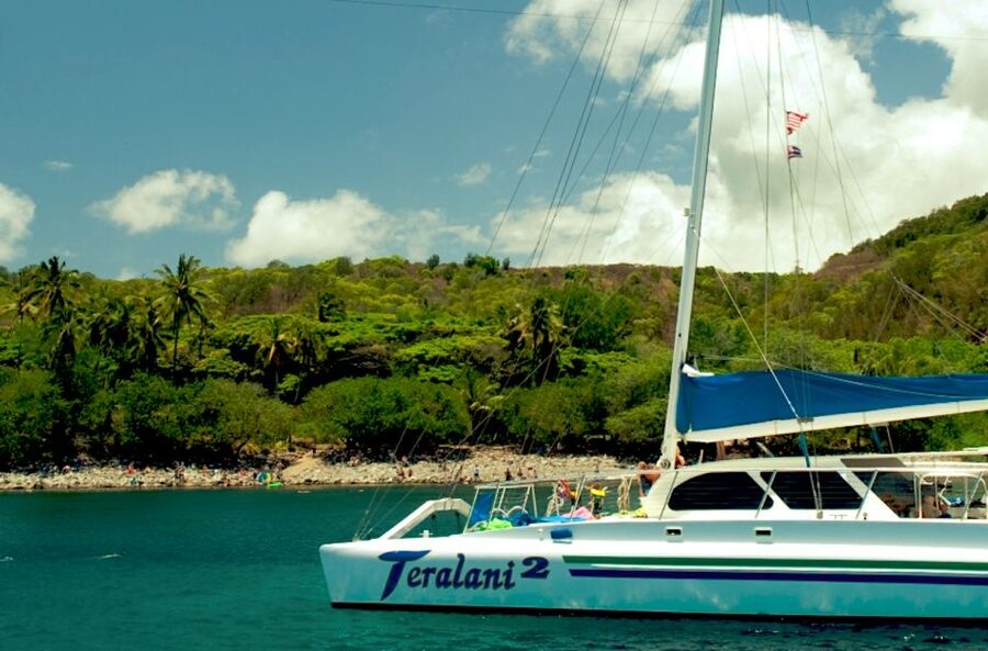 Maui: Kaanapali Beach 4-hour Snorkel w/ BBQ Lunch & Open Bar - Snorkeling Strategy: How the Captain Finds the Best Spots
