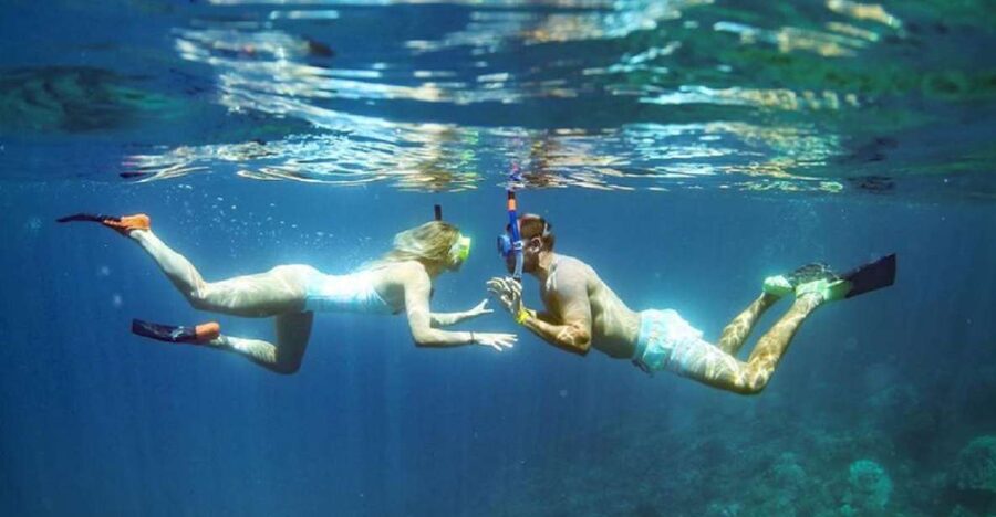 Maui: Kaanapali Beach 4-hour Snorkel w/ BBQ Lunch & Open Bar - Lunch and Open Bar: BBQ, Sweets, and Adult-Friendly Choices