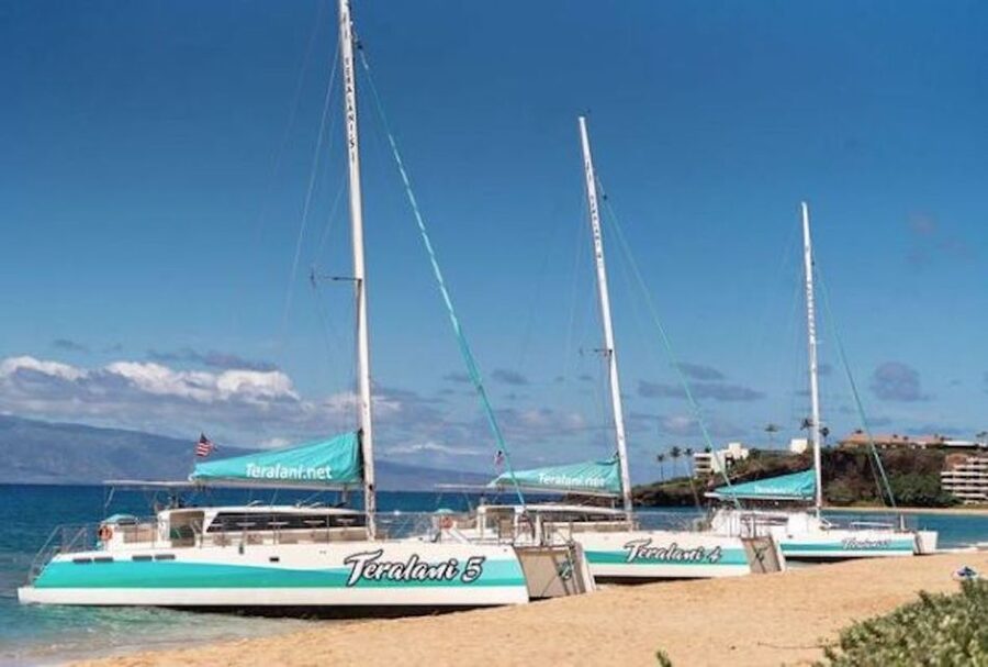 Maui: Kaanapali Dolphin Watching Boat Trip with Lunch - Key highlights worth aiming for